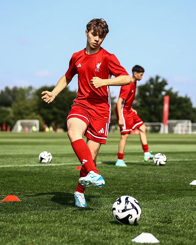 サマーキャンプの参加者